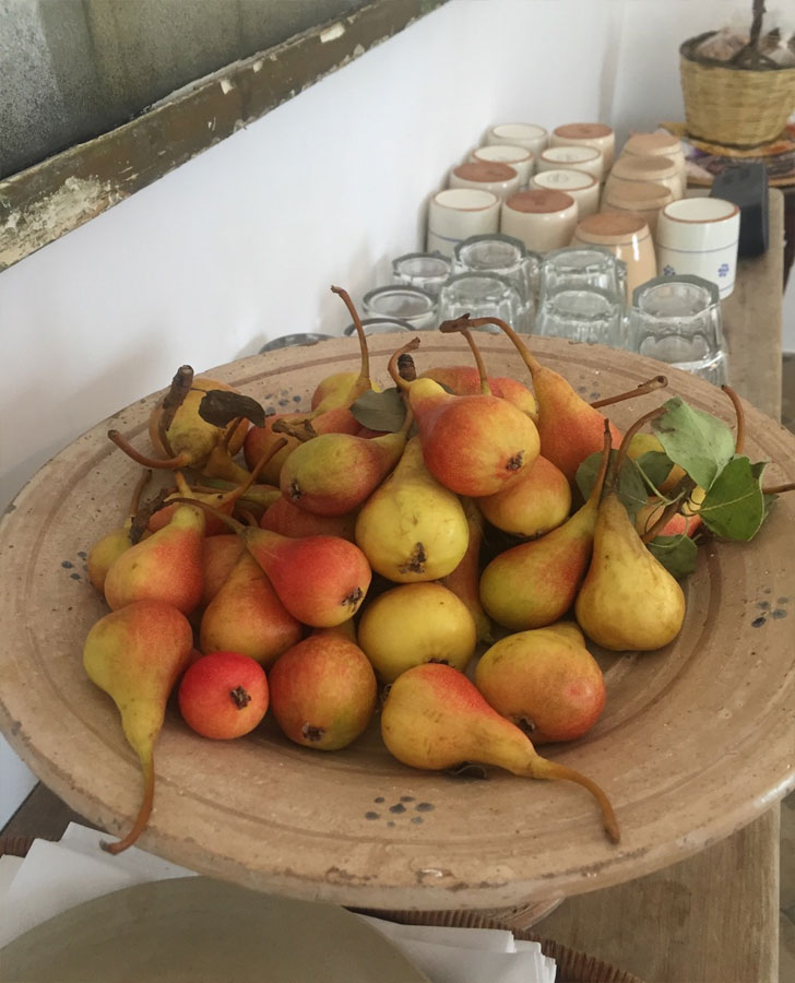 Casananda Retreats